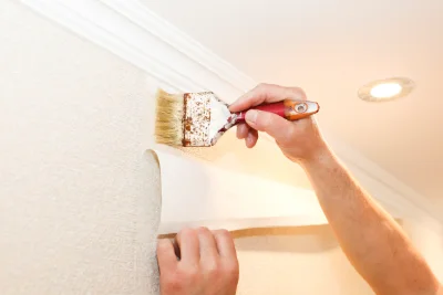 Pose de papier peint à Berthegon — revêtements muraux et toiles de verre